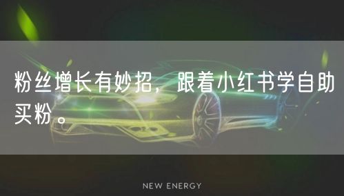 粉丝增长有妙招，跟着小红书学自助买粉。