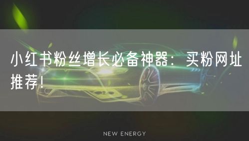 小红书粉丝增长必备神器：买粉网址推荐！