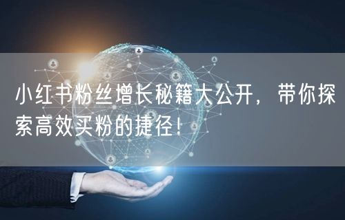 小红书粉丝增长秘籍大公开，带你探索高效买粉的捷径！