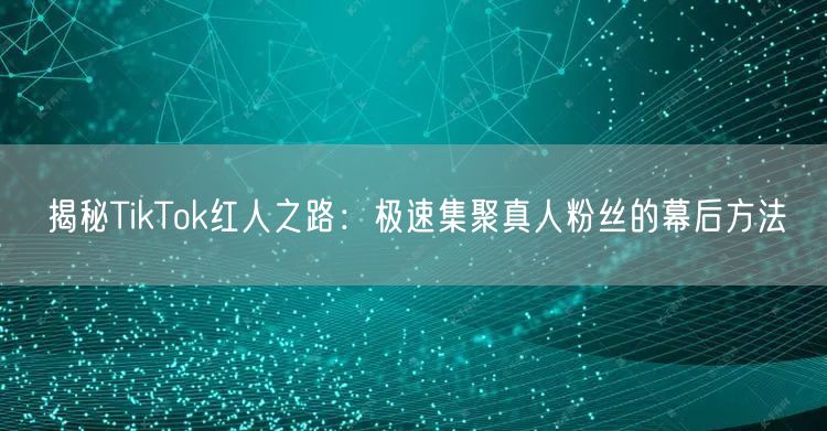揭秘TikTok红人之路：极速集聚真人粉丝的幕后方法